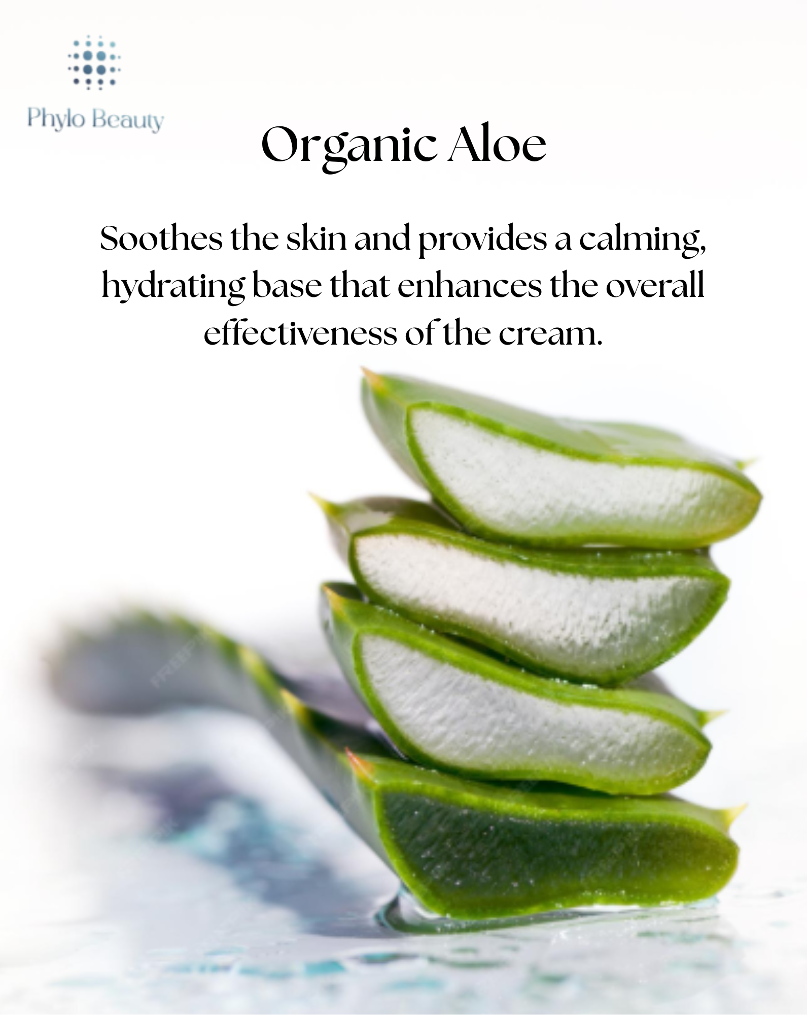 Hydra Silk Face Bomb - PHYLO BEAUTY