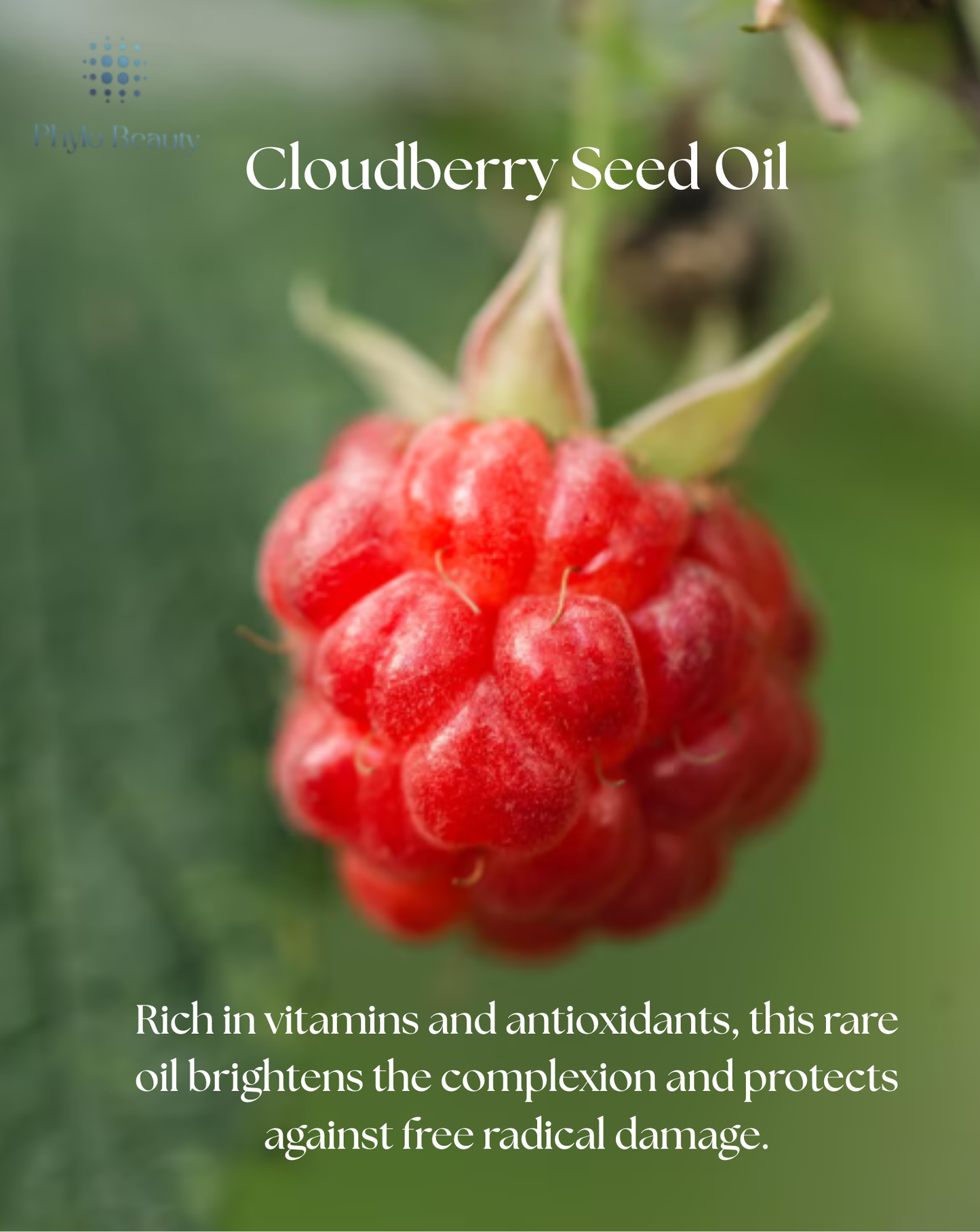 Hydra Silk Face Bomb - PHYLO BEAUTY