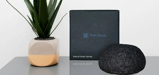 Natural Konjac Sponge - PHYLO BEAUTY